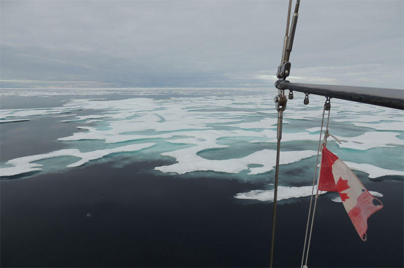  Northern Arctic Sea Route con Best Explorer