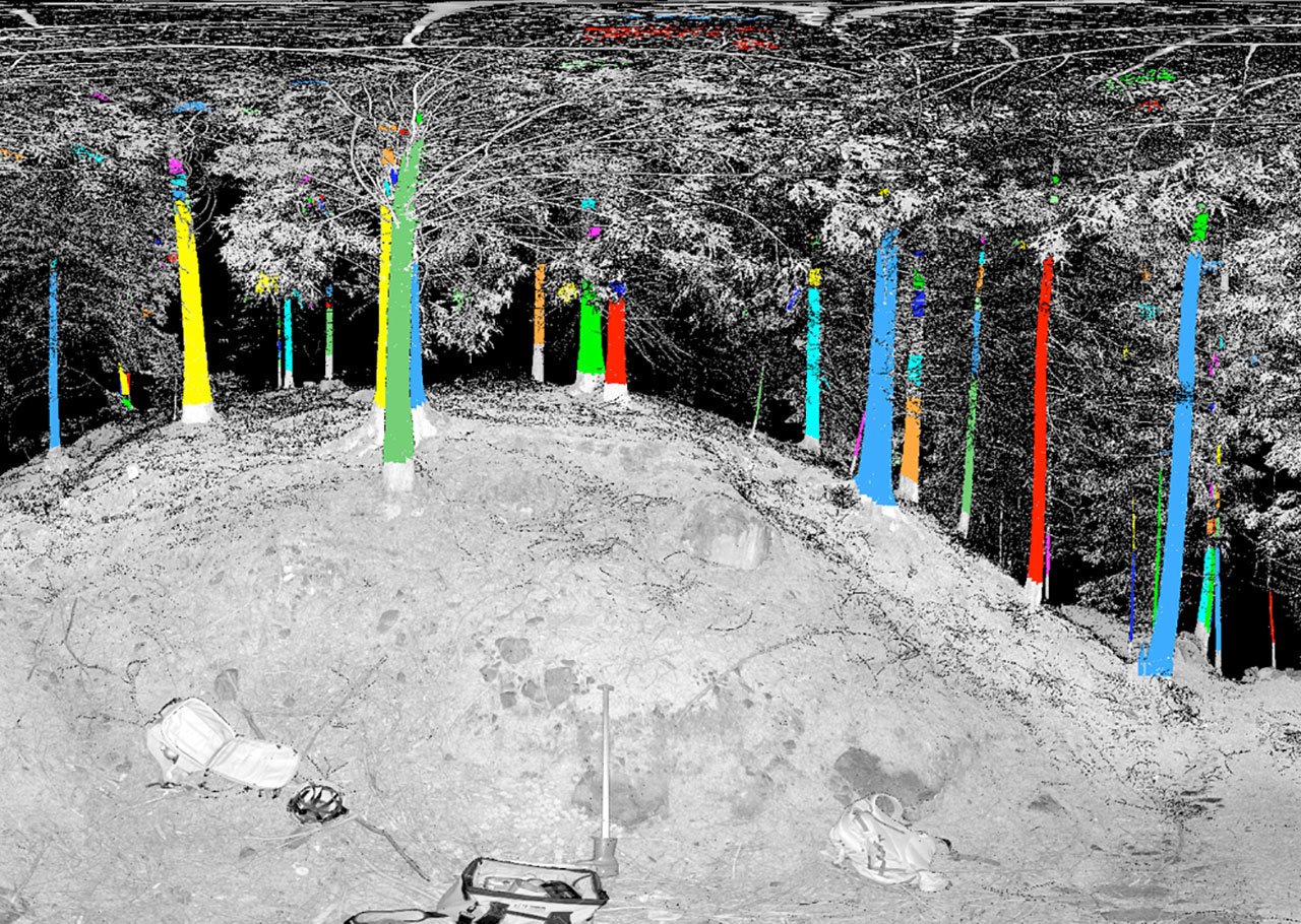 GEOmedia 1 2015 - Pianificazione forestale con UAV
